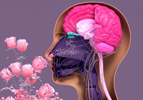 Scent Perception in Different Individuals